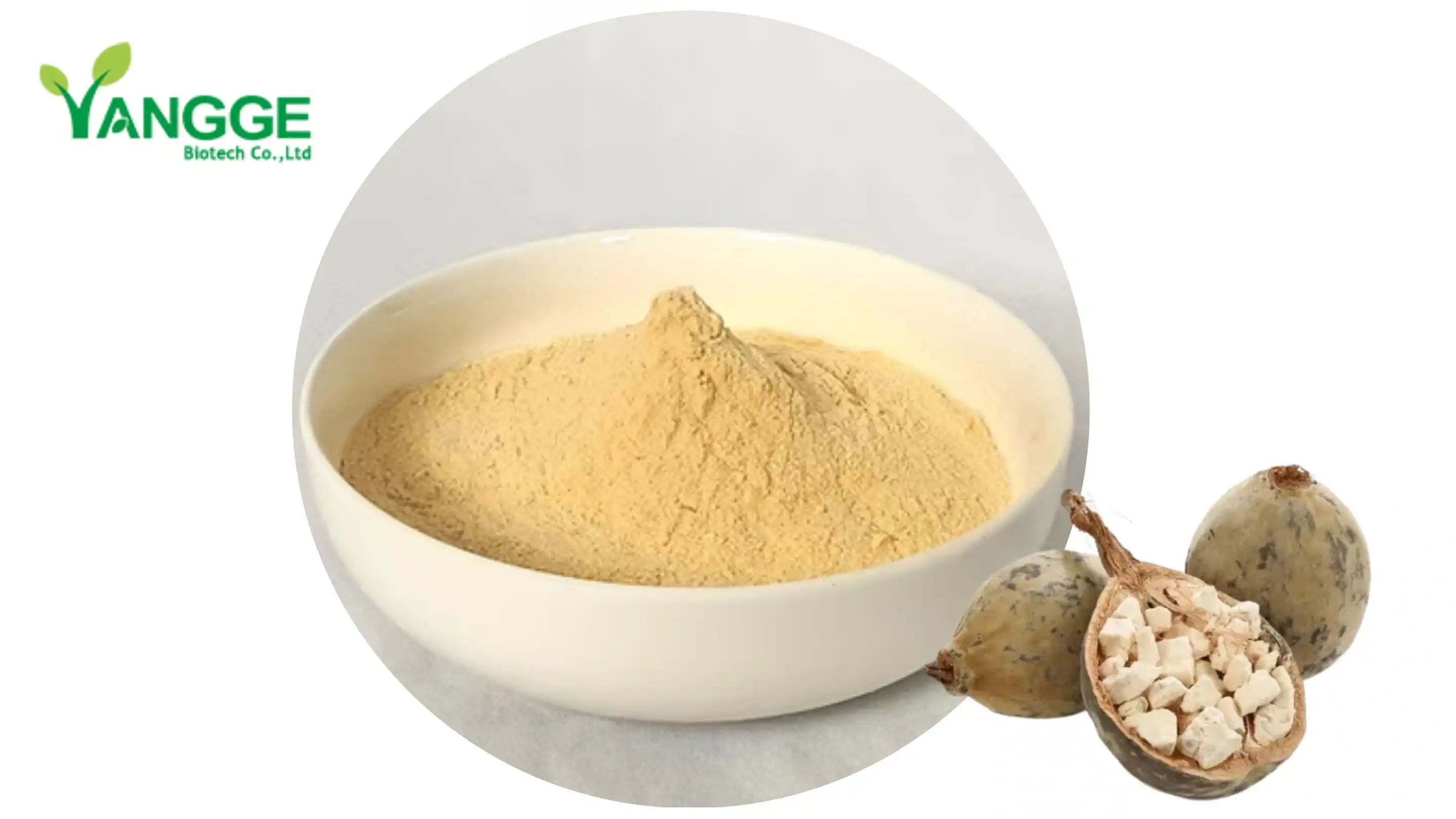 baobab powder bulk baobab powder bulk